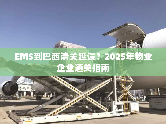EMS到巴西清关延误？2025年物业企业通关指南