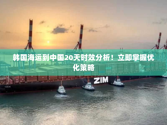 韩国海运到中国20天时效分析!立即掌握优化策略 韩国海运到中国20天时效分析!立即掌握优化策略