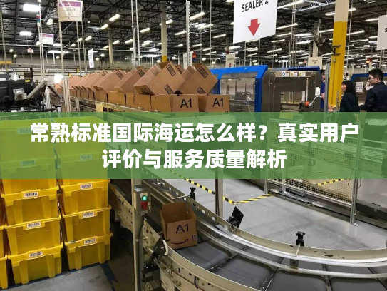 常熟标准国际海运怎么样？真实用户评价与服务质量解析
