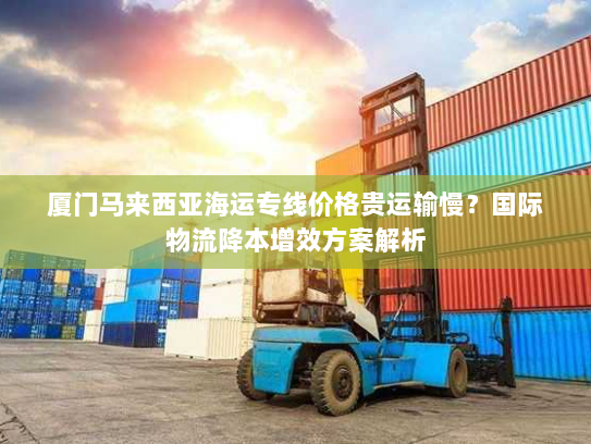 厦门马来西亚海运专线价格贵运输慢?国际物流降本增效方案解析 厦门马来西亚海运专线价格贵运输慢?国际物流降本增效方案解析