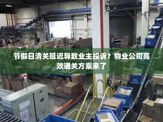 节假日清关延迟导致业主投诉?物业公司高效通关方案来了 节假日清关延迟导致业主投诉?物业公司高效通关方案来了