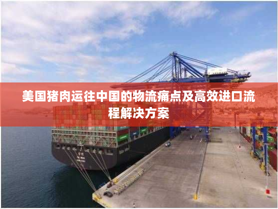 美国猪肉运往中国的物流痛点及高效进口流程解决方案 美国猪肉运往中国的物流痛点及高效进口流程解决方案