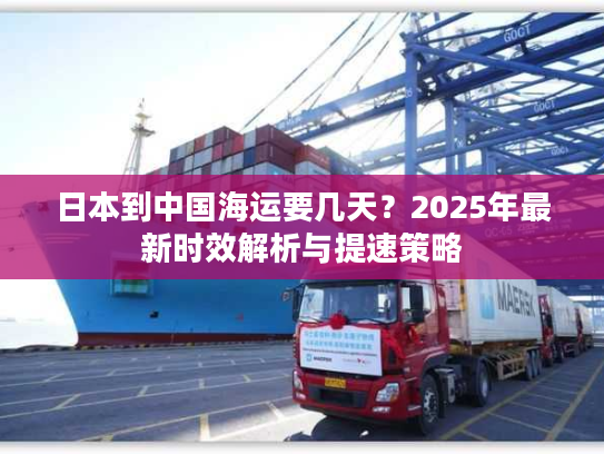 日本到中国海运要几天？2025年最新时效解析与提速策略