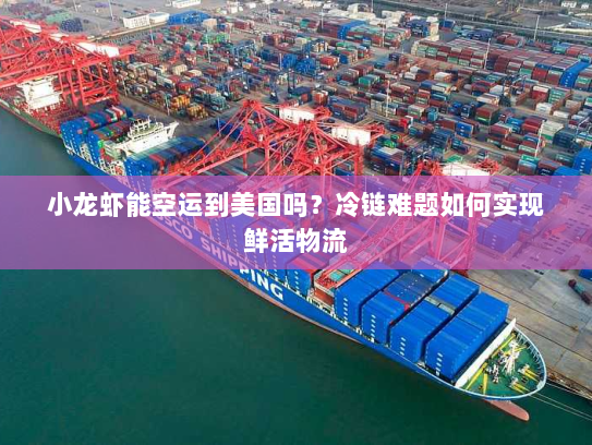 小龙虾能空运到美国吗?冷链难题如何实现鲜活物流 小龙虾能空运到美国吗?冷链难题如何实现鲜活物流