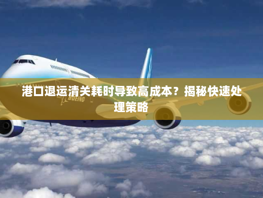 港口退运清关耗时导致高成本?揭秘快速处理策略 港口退运清关耗时导致高成本?揭秘快速处理策略