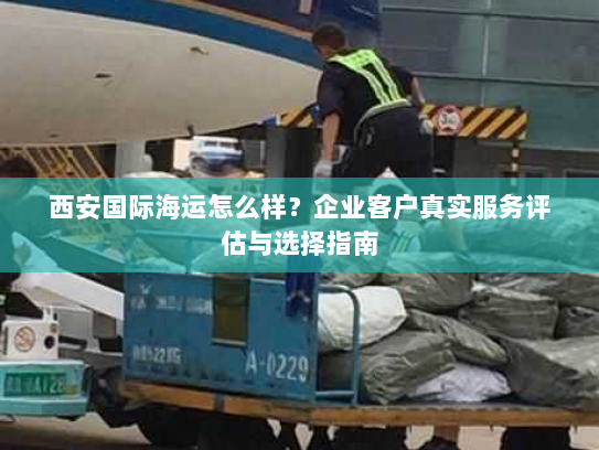 西安国际海运怎么样？企业客户真实服务评估与选择指南