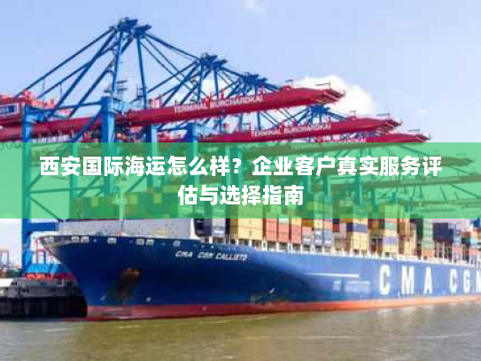 西安国际海运怎么样？企业客户真实服务评估与选择指南