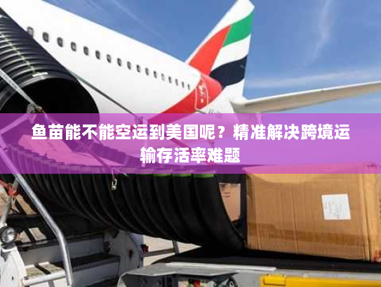 鱼苗能不能空运到美国呢?精准解决跨境运输存活率难题 鱼苗能不能空运到美国呢?精准解决跨境运输存活率难题