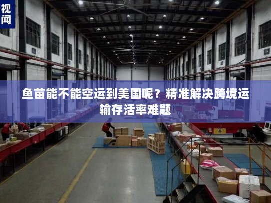 鱼苗能不能空运到美国呢?精准解决跨境运输存活率难题 鱼苗能不能空运到美国呢?精准解决跨境运输存活率难题