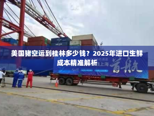 美国猪空运到桂林多少钱？2025年进口生鲜成本精准解析