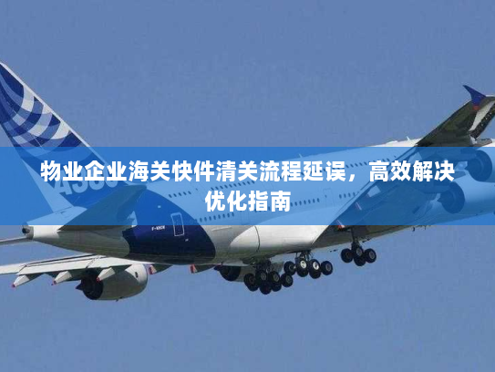 物业企业海关快件清关流程延误,高效解决优化指南 物业企业海关快件清关流程延误,高效解决优化指南