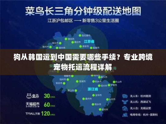 狗从韩国运到中国需要哪些手续?专业跨境宠物托运流程详解 狗从韩国运到中国需要哪些手续?专业跨境宠物托运流程详解