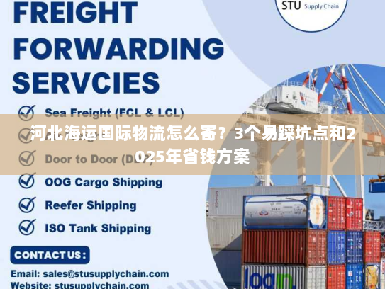 河北海运国际物流怎么寄?3个易踩坑点和2025年省钱方案 河北海运国际物流怎么寄?3个易踩坑点和2025年省钱方案