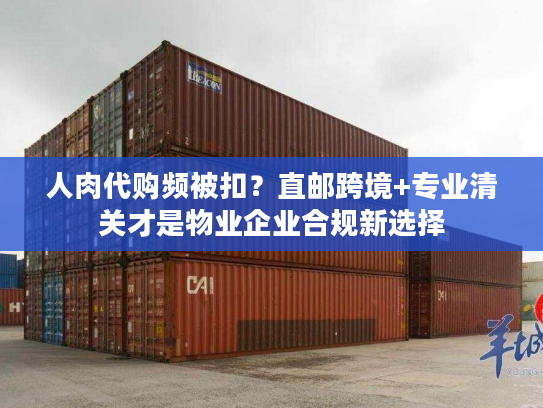 人肉代购频被扣？直邮跨境+专业清关才是物业企业合规新选择