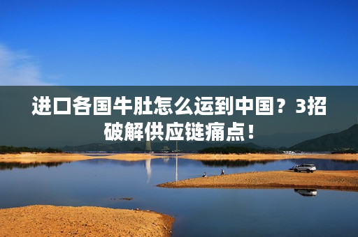进口各国牛肚怎么运到中国？3招破解供应链痛点！