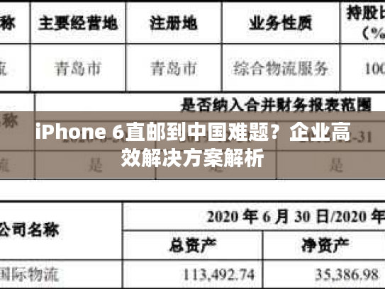 iPhone 6直邮到中国难题?企业高效解决方案解析 iPhone 6直邮到中国难题?企业高效解决方案解析