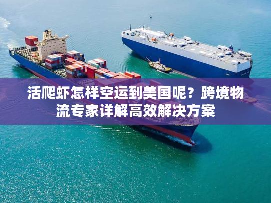 活爬虾怎样空运到美国呢？跨境物流专家详解高效解决方案