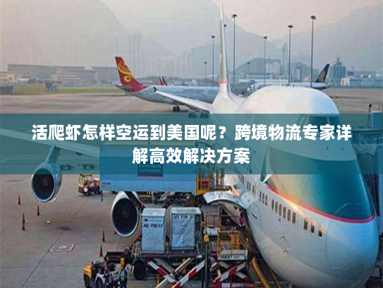 活爬虾怎样空运到美国呢?跨境物流专家详解高效解决方案 活爬虾怎样空运到美国呢?跨境物流专家详解高效解决方案