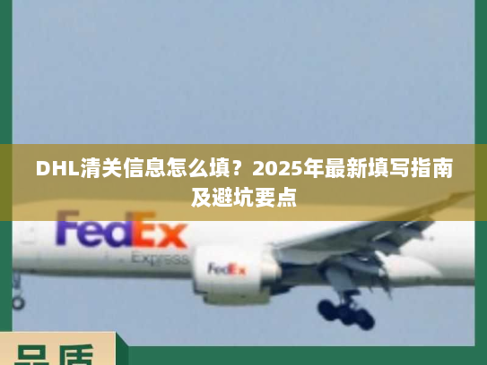DHL清关信息怎么填?2025年最新填写指南及避坑要点 DHL清关信息怎么填?2025年最新填写指南及避坑要点