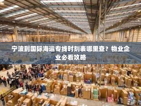 宁波到国际海运专线时刻表哪里查？物业企业必看攻略