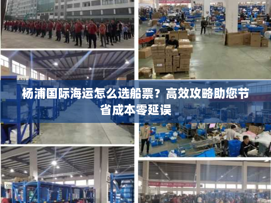 杨浦国际海运怎么选船票？高效攻略助您节省成本零延误