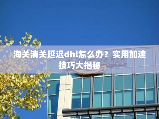 海关清关延迟dhl怎么办？实用加速技巧大揭秘