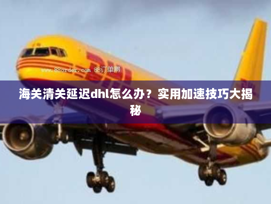 海关清关延迟dhl怎么办?实用加速技巧大揭秘 海关清关延迟dhl怎么办?实用加速技巧大揭秘