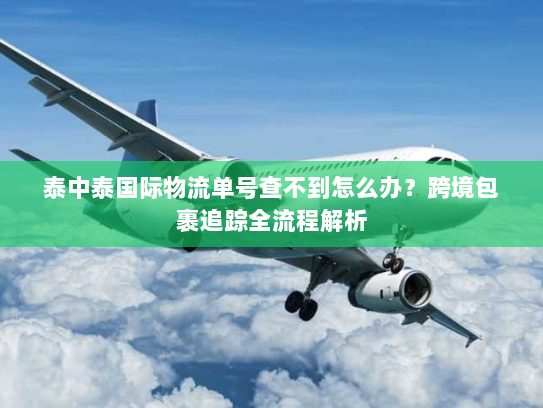 泰中泰国际物流单号查不到怎么办?跨境包裹追踪全流程解析 泰中泰国际物流单号查不到怎么办?跨境包裹追踪全流程解析