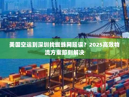 美国空运到深圳找蜘蛛网延误？2025高效物流方案即刻解决