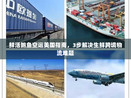 鲜活鲍鱼空运美国指南,3步解决生鲜跨境物流难题 鲜活鲍鱼空运美国指南,3步解决生鲜跨境物流难题