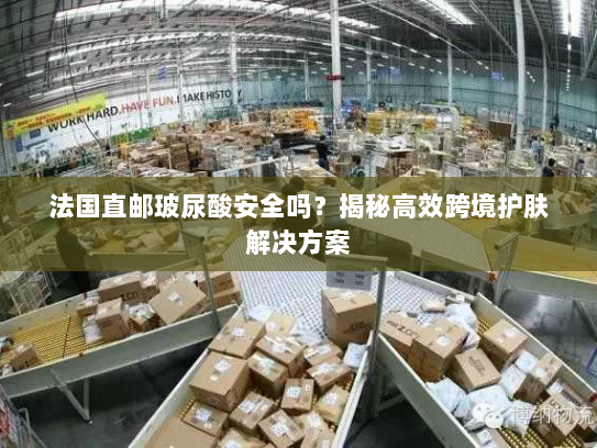 法国直邮玻尿酸安全吗?揭秘高效跨境护肤解决方案 法国直邮玻尿酸安全吗?揭秘高效跨境护肤解决方案