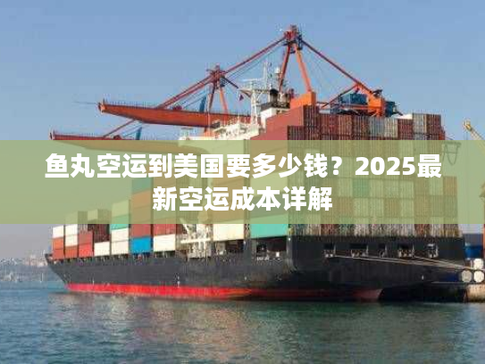 鱼丸空运到美国要多少钱？2025最新空运成本详解
