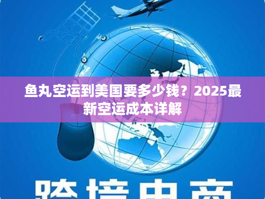 鱼丸空运到美国要多少钱？2025最新空运成本详解