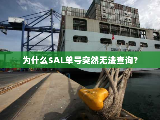 为什么SAL单号突然无法查询？