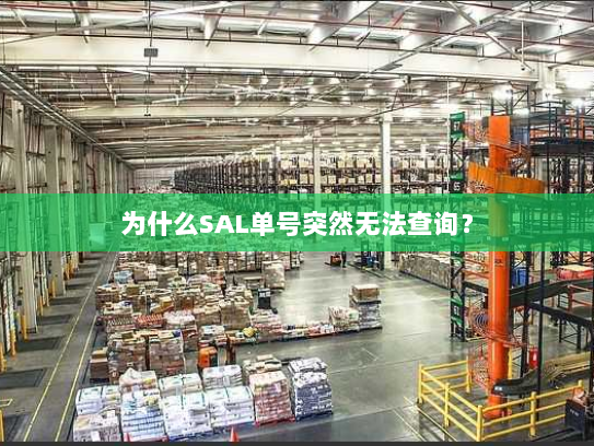 为什么SAL单号突然无法查询? 为什么SAL单号突然无法查询?
