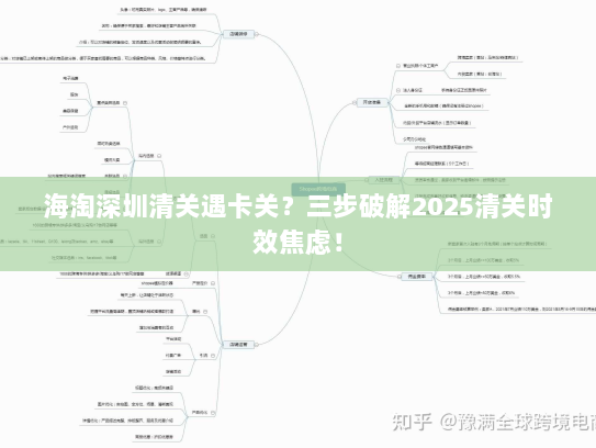 海淘深圳清关遇卡关?三步破解2025清关时效焦虑! 海淘深圳清关遇卡关?三步破解2025清关时效焦虑!