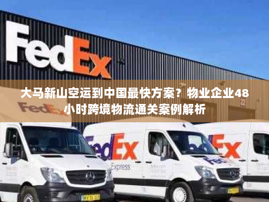 大马新山空运到中国最快方案?物业企业48小时跨境物流通关案例解析 大马新山空运到中国最快方案?物业企业48小时跨境物流通关案例解析