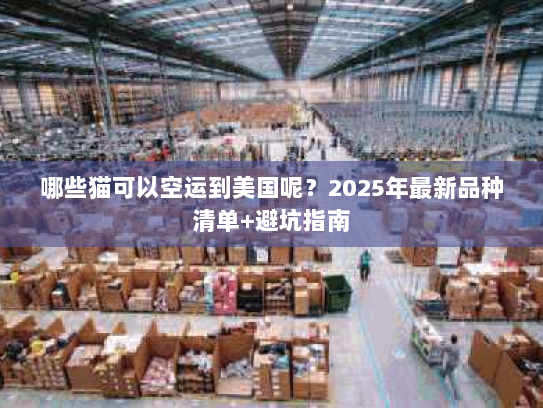 哪些猫可以空运到美国呢？2025年最新品种清单+避坑指南