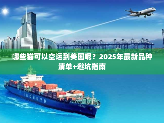 哪些猫可以空运到美国呢？2025年最新品种清单+避坑指南