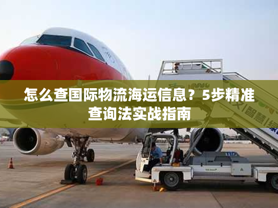 怎么查国际物流海运信息?5步精准查询法实战指南 怎么查国际物流海运信息?5步精准查询法实战指南
