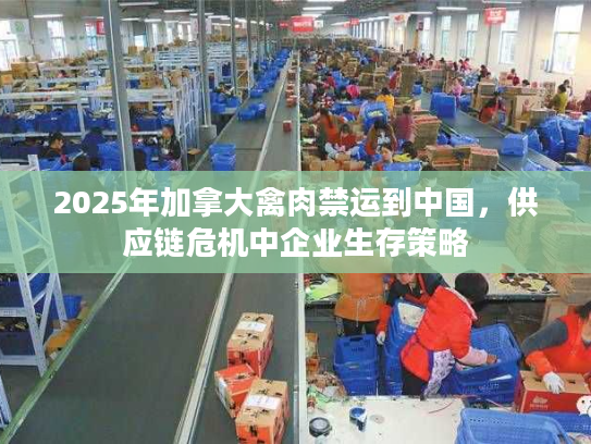 2025年加拿大禽肉禁运到中国，供应链危机中企业生存策略