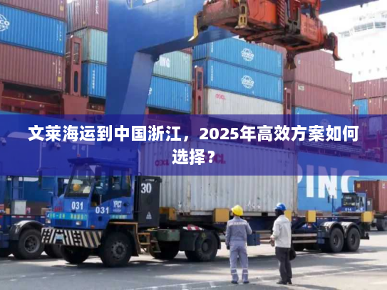 文莱海运到中国浙江,2025年高效方案如何选择? 文莱海运到中国浙江,2025年高效方案如何选择?