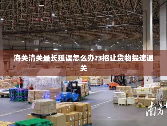 海关清关最长延误怎么办?3招让货物提速通关 海关清关最长延误怎么办?3招让货物提速通关