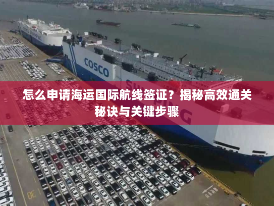 怎么申请海运国际航线签证?揭秘高效通关秘诀与关键步骤 怎么申请海运国际航线签证?揭秘高效通关秘诀与关键步骤