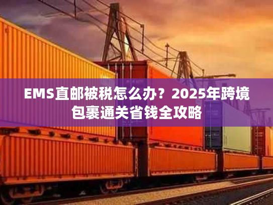EMS直邮被税怎么办?2025年跨境包裹通关省钱全攻略 EMS直邮被税怎么办?2025年跨境包裹通关省钱全攻略