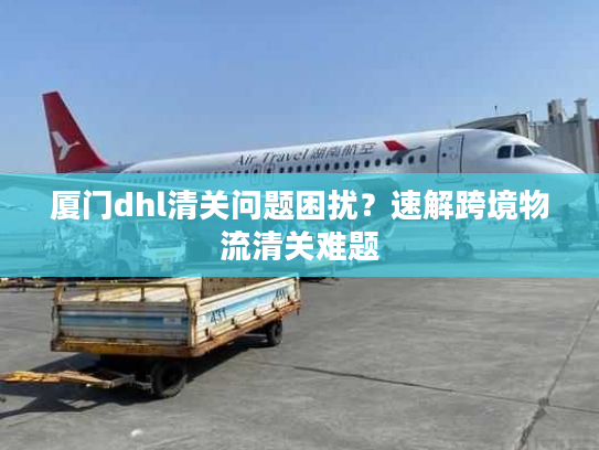 厦门dhl清关问题困扰？速解跨境物流清关难题