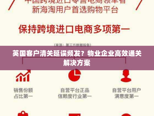 英国客户清关延误频发？物业企业高效通关解决方案