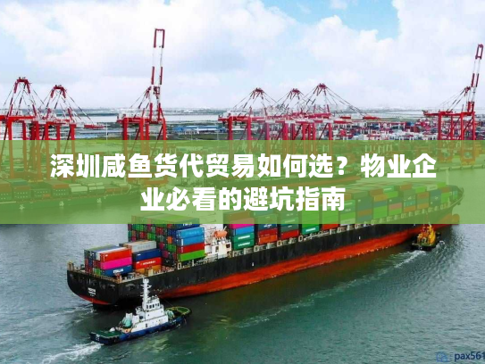 深圳咸鱼货代贸易如何选？物业企业必看的避坑指南