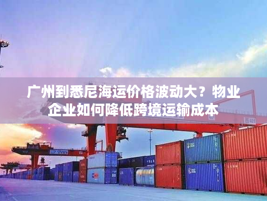 广州到悉尼海运价格波动大?物业企业如何降低跨境运输成本 广州到悉尼海运价格波动大?物业企业如何降低跨境运输成本