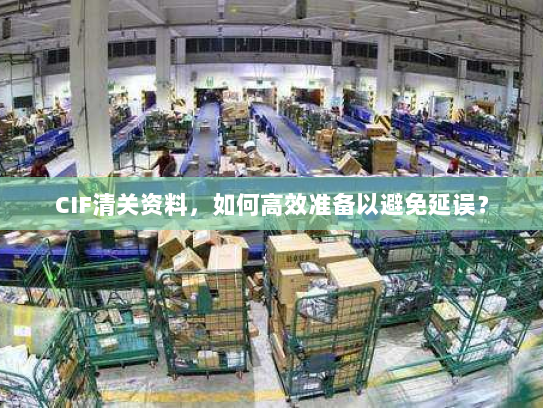 CIF清关资料,如何高效准备以避免延误? CIF清关资料,如何高效准备以避免延误?